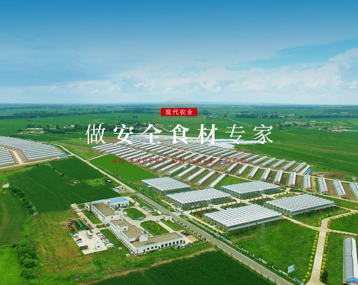 suncitygroup太阳集团·(中国)首页登录