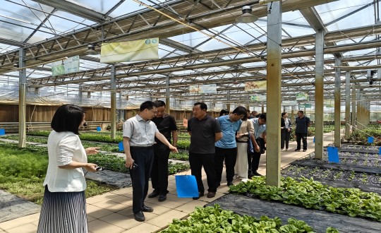 2024年6月27日，，，，，，中国绿色食物生长中心相关向导莅临农业总公司考察调研_副本.jpg